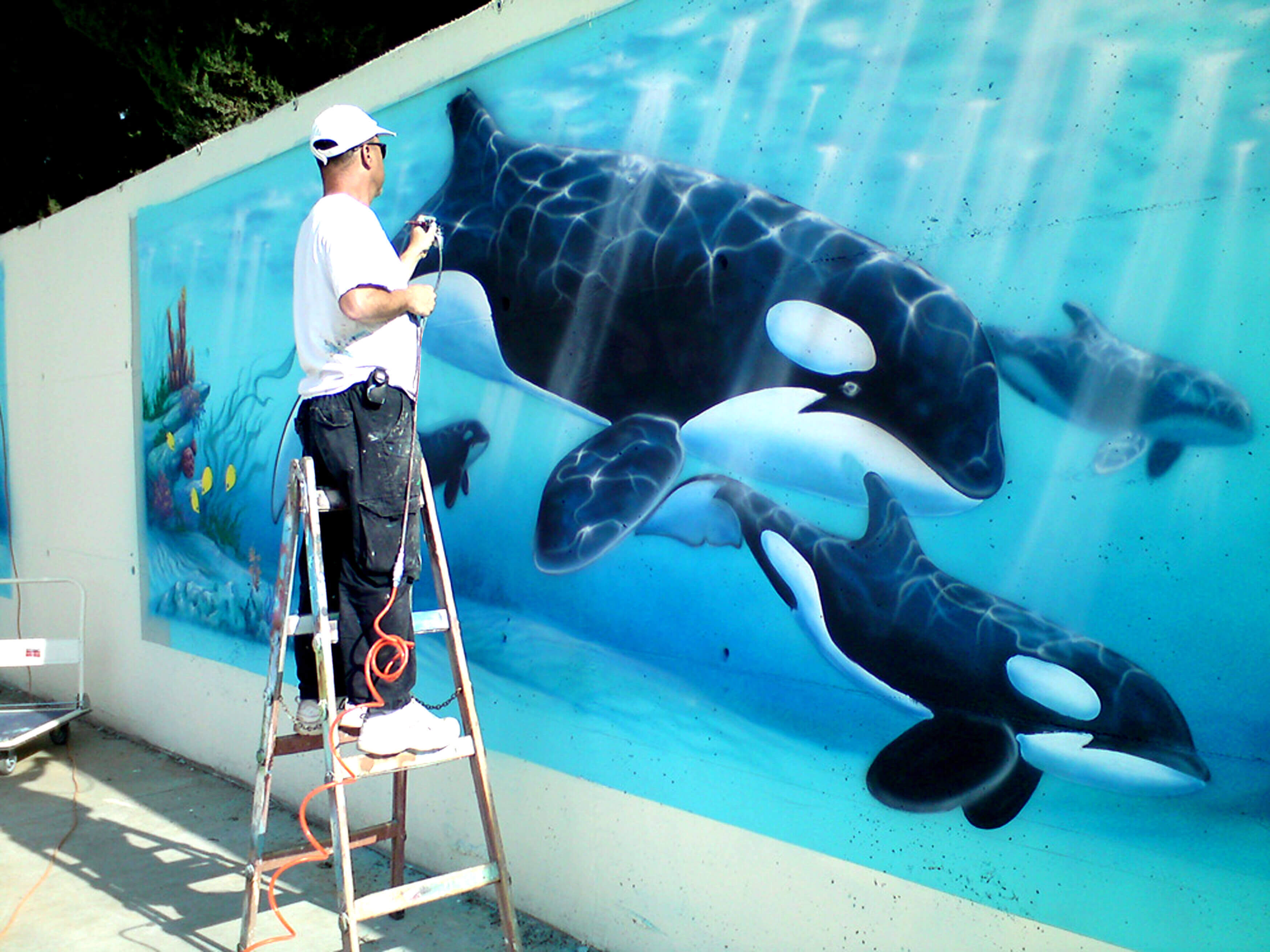 איירבראש ציורים על קיר