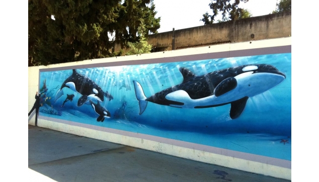 13769430_10153947369028702_2092061904559373881_n