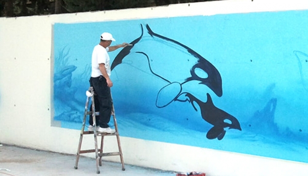 עולם המים ובריכות שחיה 1