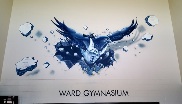 פרוייקטים בחול1