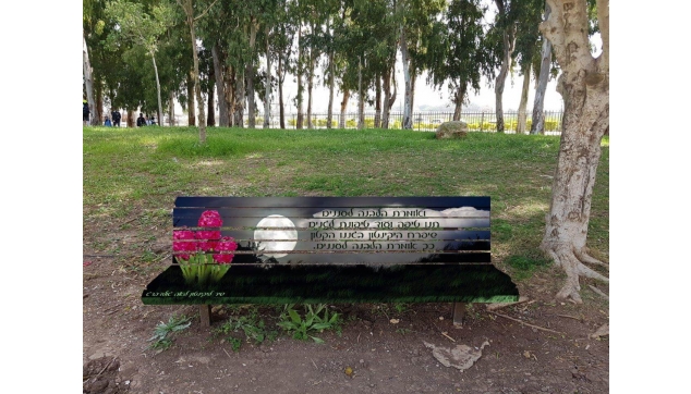 ציור איירבראש על ספסלים