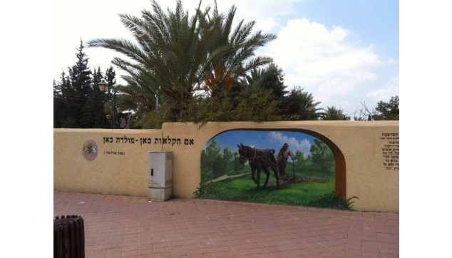 ציורי קיר בערי ישראל