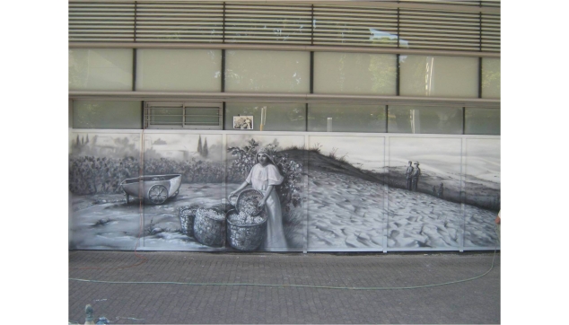 ציורי קיר בערי ישראל 