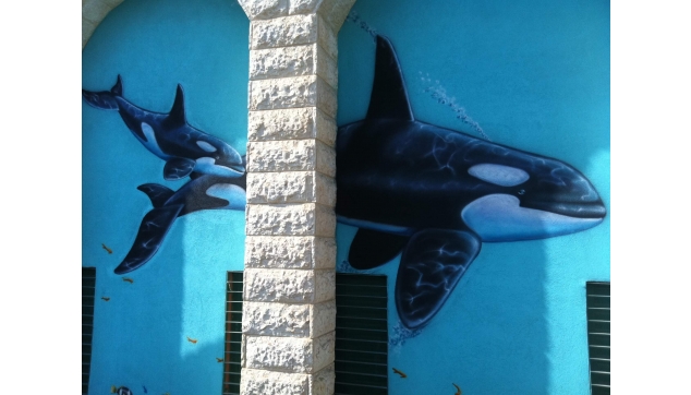 ציורי קיר בערי ישראל