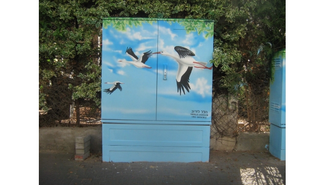 ציורי קיר בערי ישראל