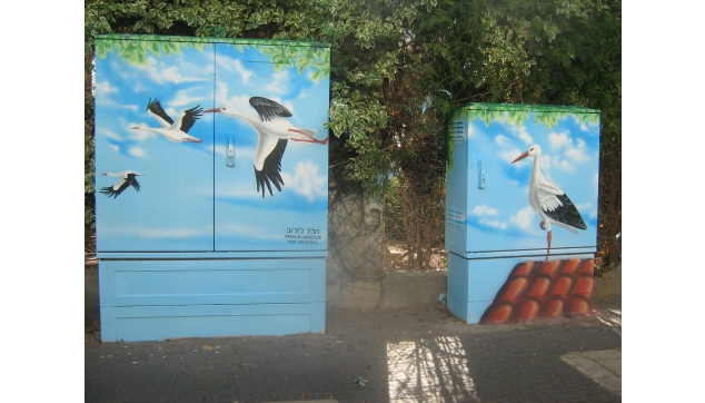 ציורי קיר בערי ישראל