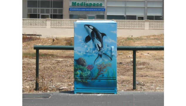 ציורי קיר בערי ישראל