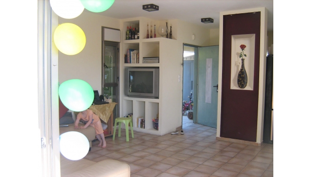 ציורי קיר וצביעה דקורטיבית