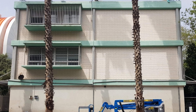 ציורי קיר לבתי הספר