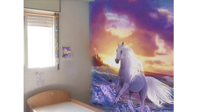 ציורי קיר לחדרי ילדים