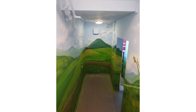 ציורי קיר מסדרונות וכיתות מעוצבות