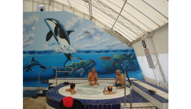 ציורי קיר עולם המים