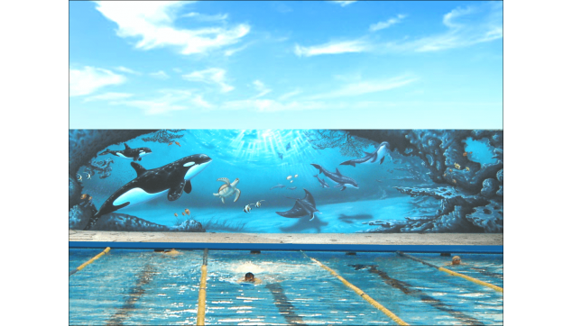 ציורי קיר עולם המים