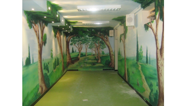 ציורי קיר תלת מימד