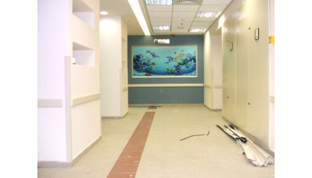 ציורי קיר תלת מימד